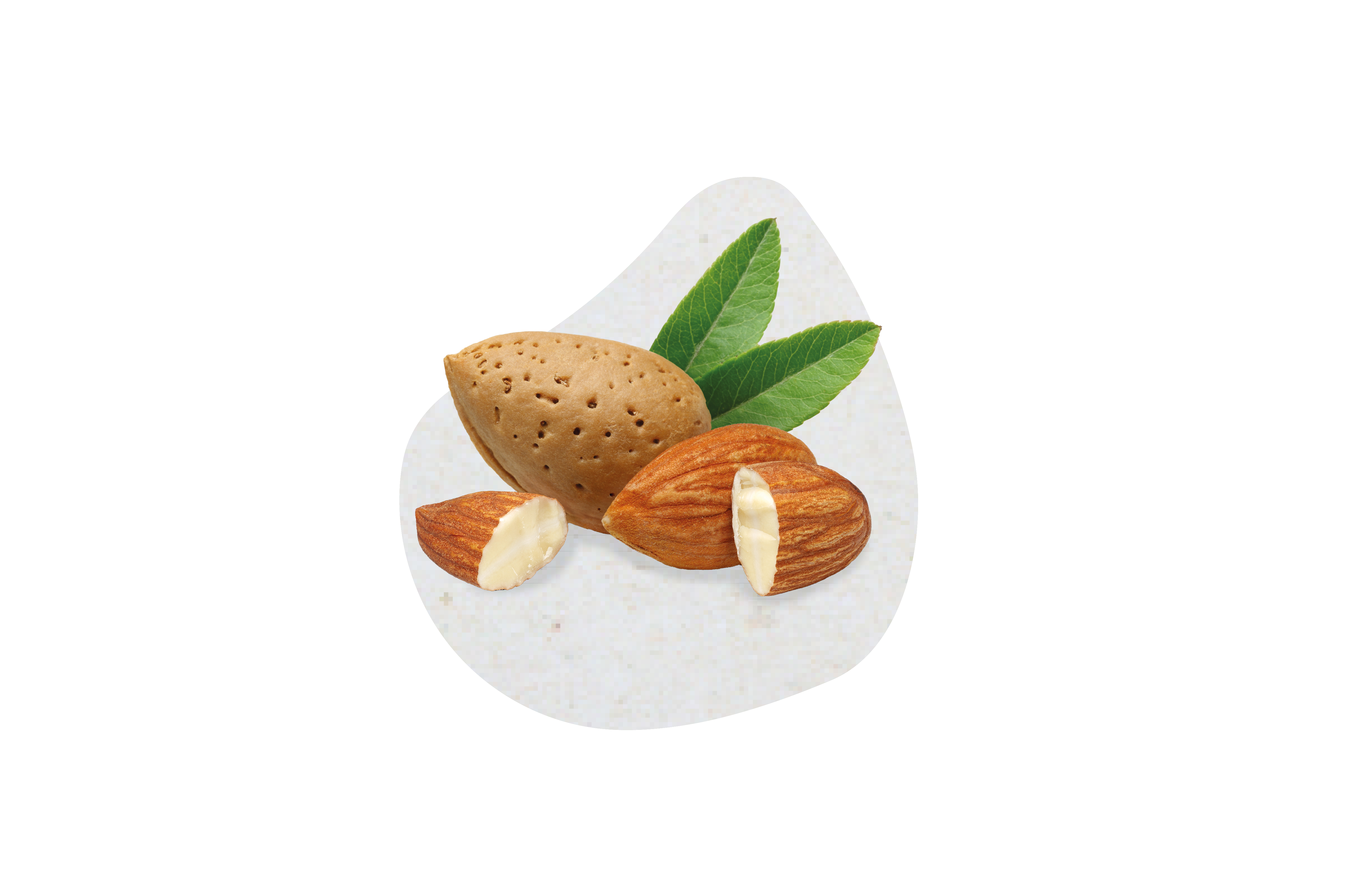 Mandel-Paste 100% (6 KG)
